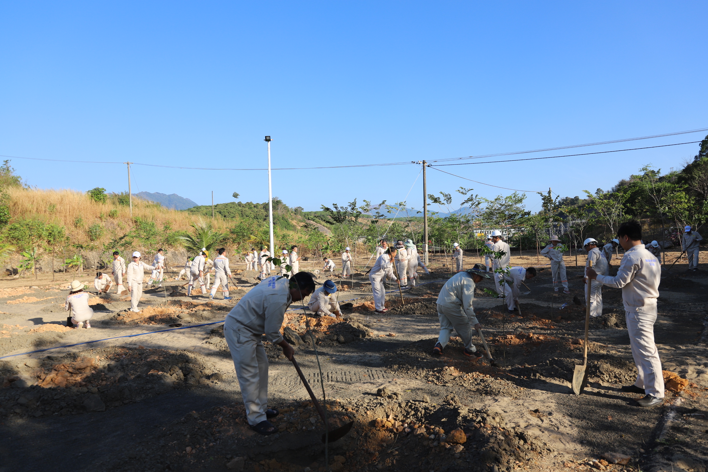 Lãnh đạo và người lao động Sê San 3A cùng trồng cây xanh