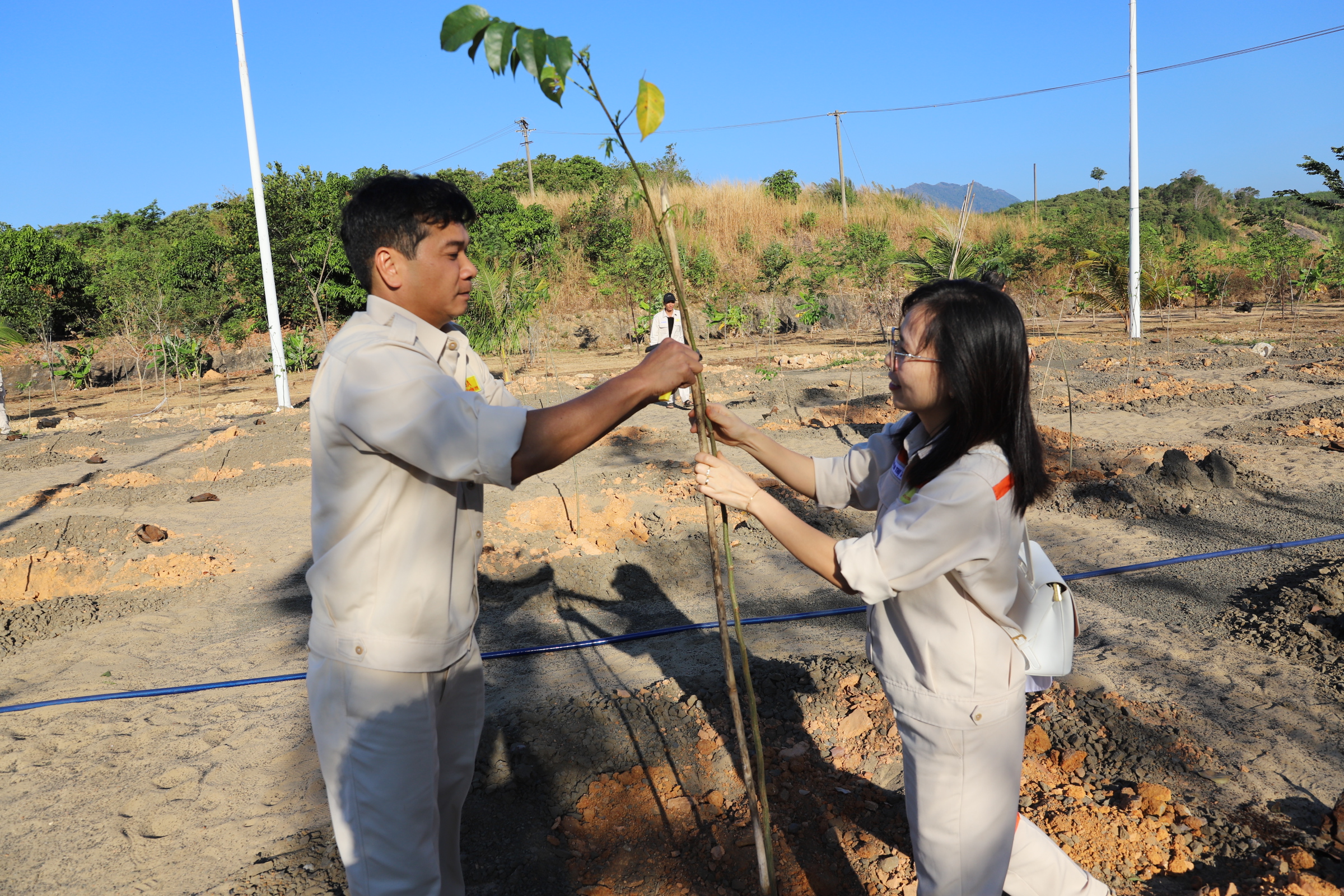 Người lao động cùng trồng và chăm sóc cây xanh