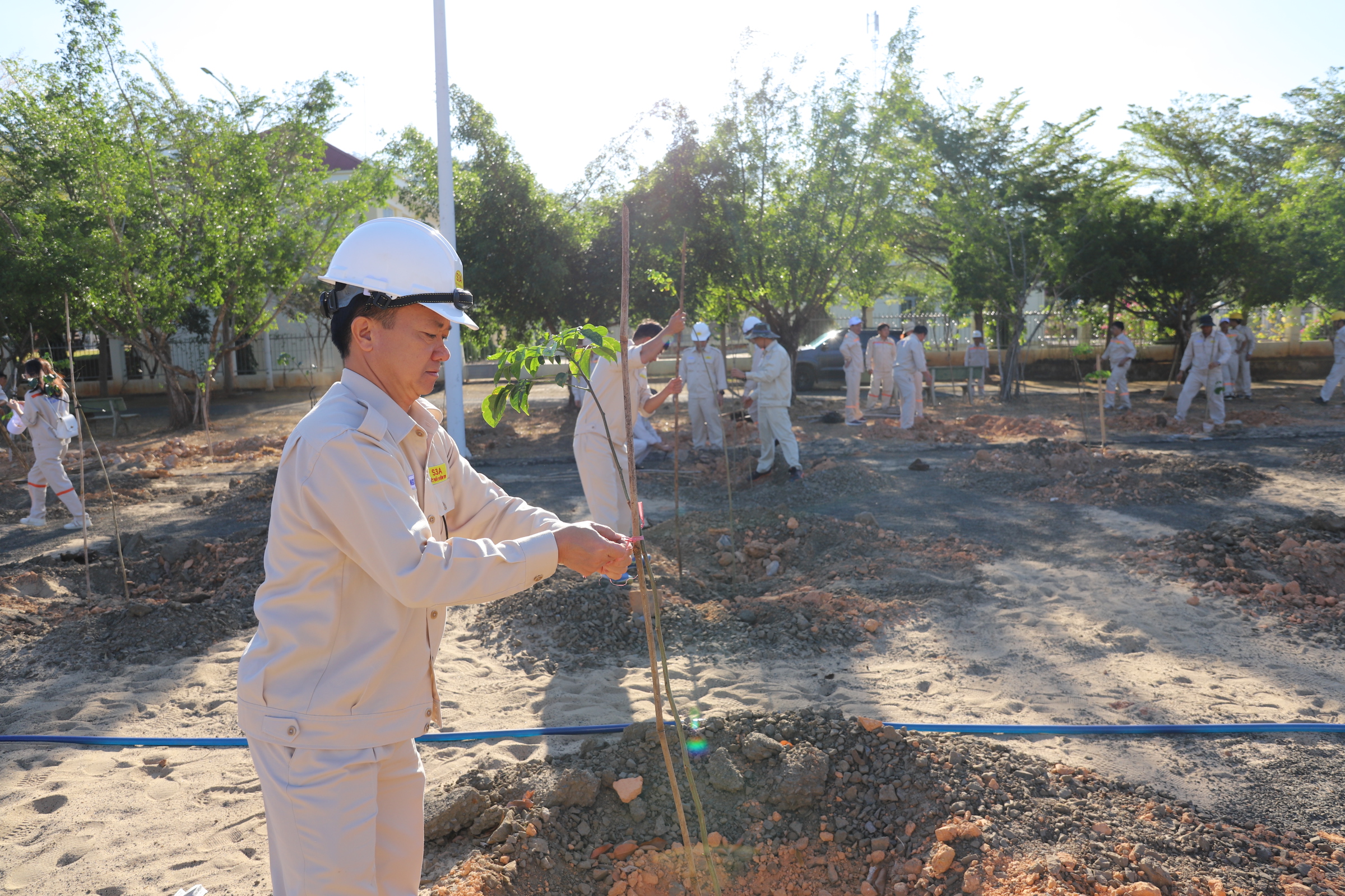 Ông Nguyễn Tá Thực - Chủ tịch Hội đồng quản trị Công ty chăm sóc cây xanh vừa trồng